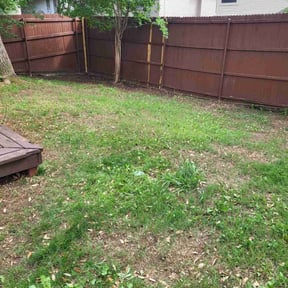 Leaf Removal by Sun's Lawn Care LLC. reviewed on April 26, 2022