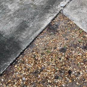 Flower Bed Weeding by OC Lawn Care Services reviewed on March 13, 2025