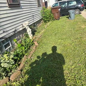 Weeding by D&D Reliable Services LLC reviewed on June 14, 2025