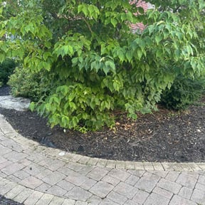Flower Bed Weeding by Green Earth Lawn and snow LLC reviewed on May 13, 2025