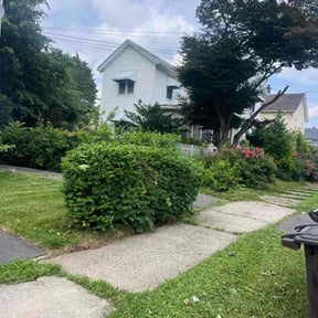 Bush Trimming by Murphy's Lawn Service reviewed on July 28, 2022