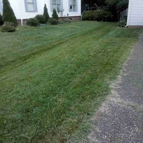Bush Trimming by Type A Lawn Guy reviewed on July 16, 2025