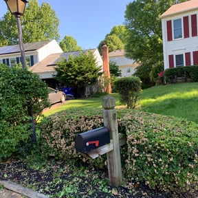 Bush Trimming by First Try lawncare Sevices and more reviewed on April 24, 2022