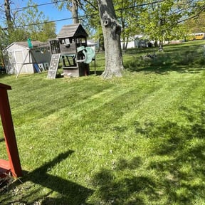 Leaf Removal by Tefel rivera reviewed on April 13, 2025