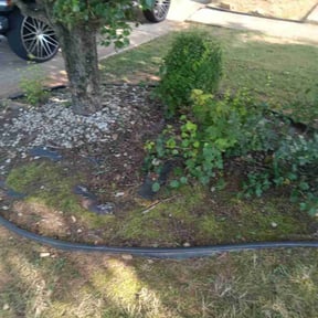 Flower Bed Weeding by S & Z Lawn Service reviewed on June 10, 2022