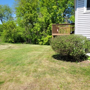 Bush Trimming by LawnGoals reviewed on May 10, 2022