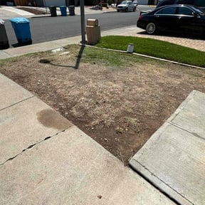 Cleanups by Genee Buckner reviewed on May 8, 2022