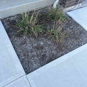Flower Bed Weeding by A&j lawn care service reviewed on July 22, 2022