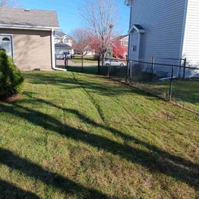 Leaf Removal by Up Cut Lawn Care reviewed on May 17, 2022