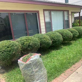Bush Trimming by Dortch Demo and cleanup reviewed on June 26, 2022