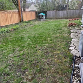 Leaf Removal by Greener Grass Cutting reviewed on June 2, 2022