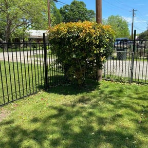 Bush Trimming by EZe quality scapes reviewed on July 2, 2025