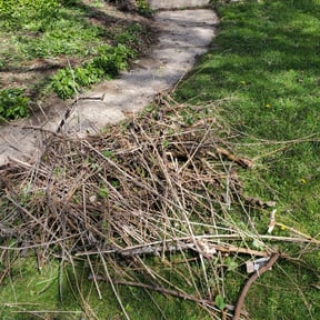 Flower Bed Weeding by TruGreen LawnCare reviewed on August 15, 2025