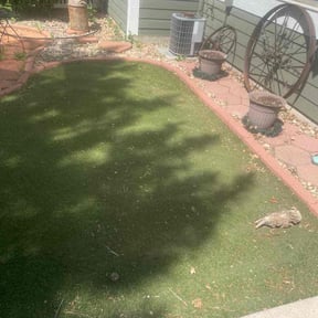 Leaf Removal by Sam's Lawns reviewed on October 26, 2024