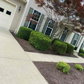 Bush Trimming by GoGreen Lawn Service reviewed on July 8, 2022