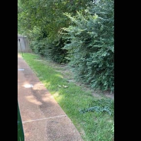 Bush Trimming by Joseph's Tree removal & Lawncare reviewed on August 29, 2020