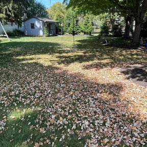 Leaf Removal by Yard Solutions reviewed on November 6, 2021