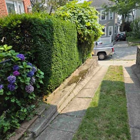 Bush Trimming by Geaux Superior Landscaping reviewed on July 21, 2022