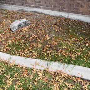 Flower Bed Weeding by Eagle Electric Lawn Care reviewed on March 19, 2025