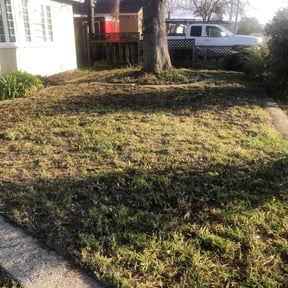 Cleanups by New Surroundings reviewed on June 29, 2022