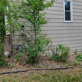 Bush Trimming by Midwest Ecoscapes reviewed on July 29, 2022