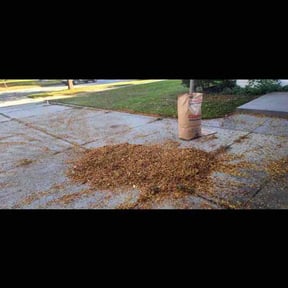 Leaf Removal by T&K Lawn Care Services reviewed on April 28, 2022