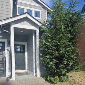 Bush Trimming by Supreme Home Services reviewed on August 9, 2022