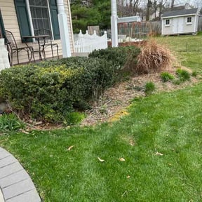 Bush Trimming by Pure Perfection Lawn care reviewed on July 17, 2021