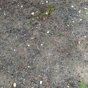 Weeding by Murray Services reviewed on July 18, 2022