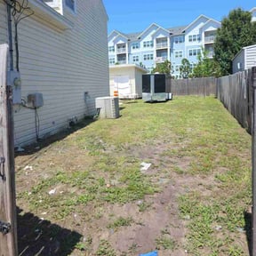 Cleanups by Bay Land &amp; Trees Llc. reviewed on April 21, 2025