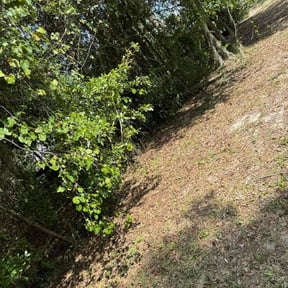 Weeding by BBCNP Services reviewed on January 15, 2025