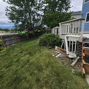 Bush Trimming by LSF reviewed on May 23, 2022