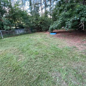 Cleanups by Daddy's Lawn Care reviewed on June 15, 2022