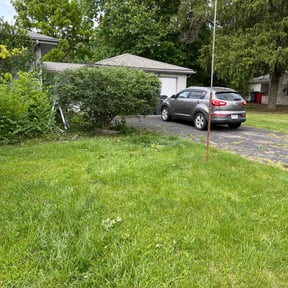 Bush Trimming by ARTHURS LAWN AND LANDSCAPE reviewed on July 23, 2022