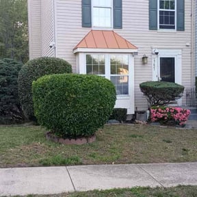 Bush Trimming by Precision Lawn Care reviewed on June 4, 2021