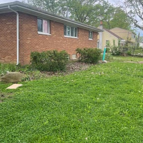 Bush Trimming by Babcock Enterprises LLC reviewed on May 10, 2022