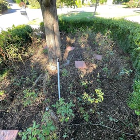 Flower Bed Weeding by Coqui Lawn Care Services reviewed on September 18, 2020