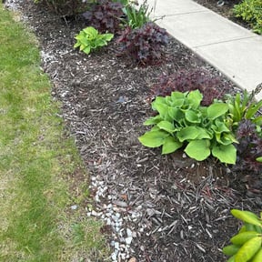 Flower Bed Weeding by Evans landscaping and lawn service reviewed on August 24, 2021