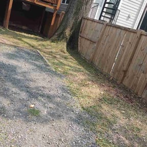 Weeding by Carbon Dioxide Recyclers reviewed on April 28, 2025