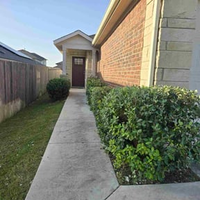 Bush Trimming by All Pro Landscaping Services reviewed on December 3, 2021