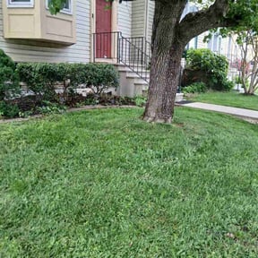 Bush Trimming by Weekend Warrior Landscaping reviewed on July 22, 2022