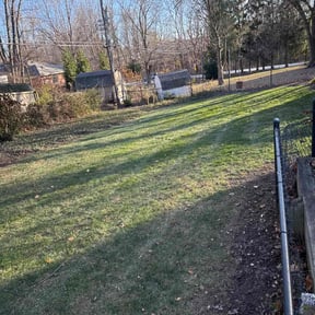 Leaf Removal by EV Great Valley Landscaping,LLC. reviewed on June 17, 2022