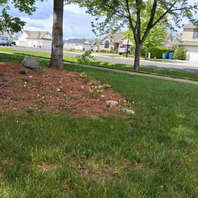Weeding by M&M Lawn Care reviewed on May 23, 2022