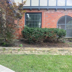Bush Trimming by Mora Brothers Tree and Landscaping reviewed on May 3, 2022