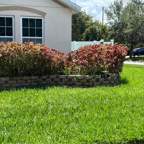 Bush Trimming by M4 Landscaping and More reviewed on June 8, 2022