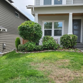 Bush Trimming by Vividlawncare reviewed on June 10, 2022