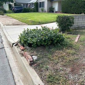 Bush Trimming by Forever Green FG LLC reviewed on October 11, 2024