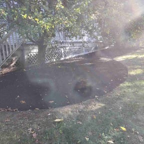 Mulching by Vertical Lawn Care reviewed on June 16, 2022
