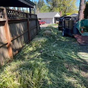 Bush Trimming by Top Landscape Maintenance LLC reviewed on April 28, 2025