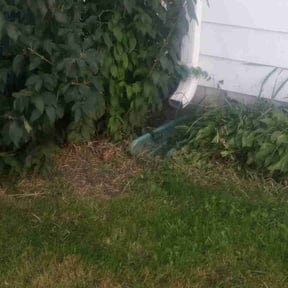 Flower Bed Weeding by Plant Your Dreams Design reviewed on August 25, 2020